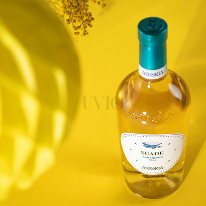 Astoria Suade Sauvignon Blanc IGT