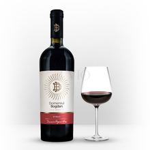 Premium Syrah (Ecologic)